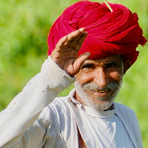Membres de la tribu Rabari travaillant dans les champs, région de Pali, Rajasthan, Inde.