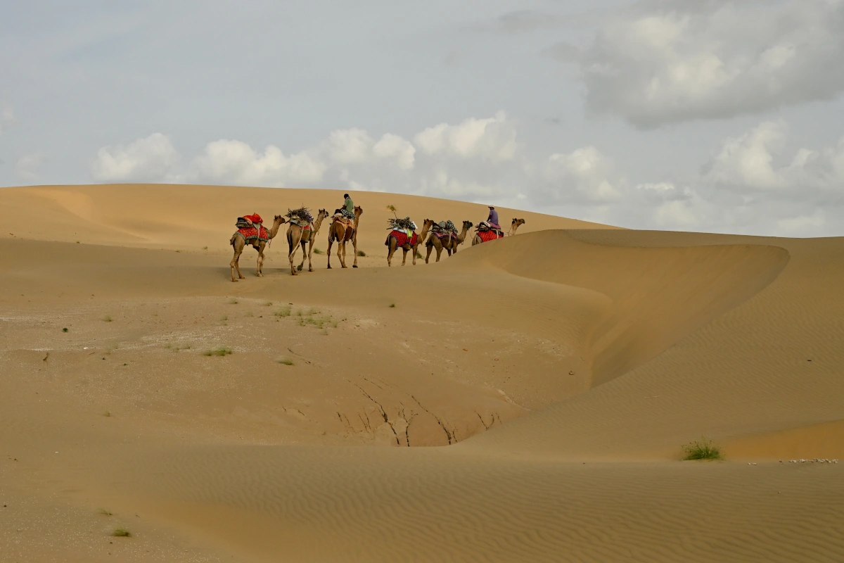 Safari à dos de chameau au coucher du soleil dans les dunes du désert près de Jaisalmer, Rajasthan.