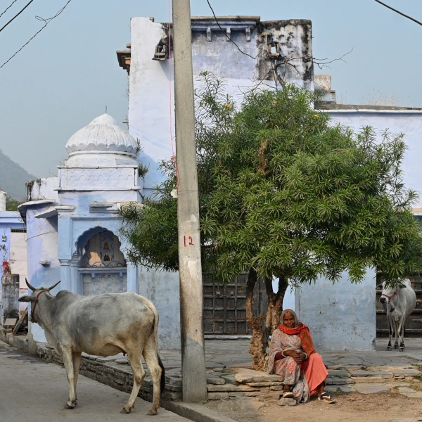 Authentieke Farm & Homestay Reizen