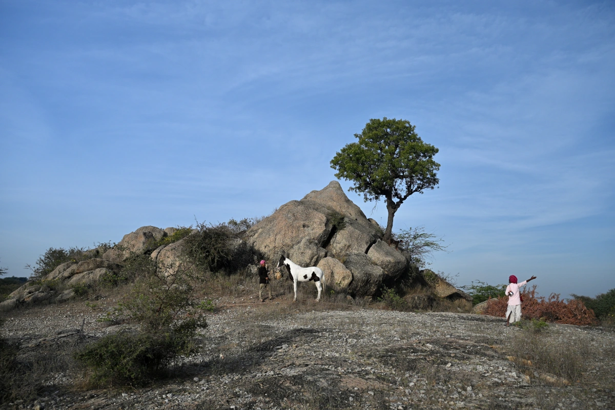 Rajasthan paardrijvakantie Holi
