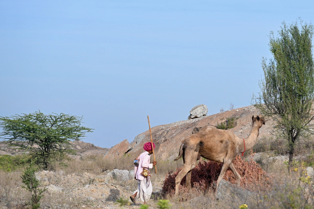 Rajasthan paardrijvakantie Holi