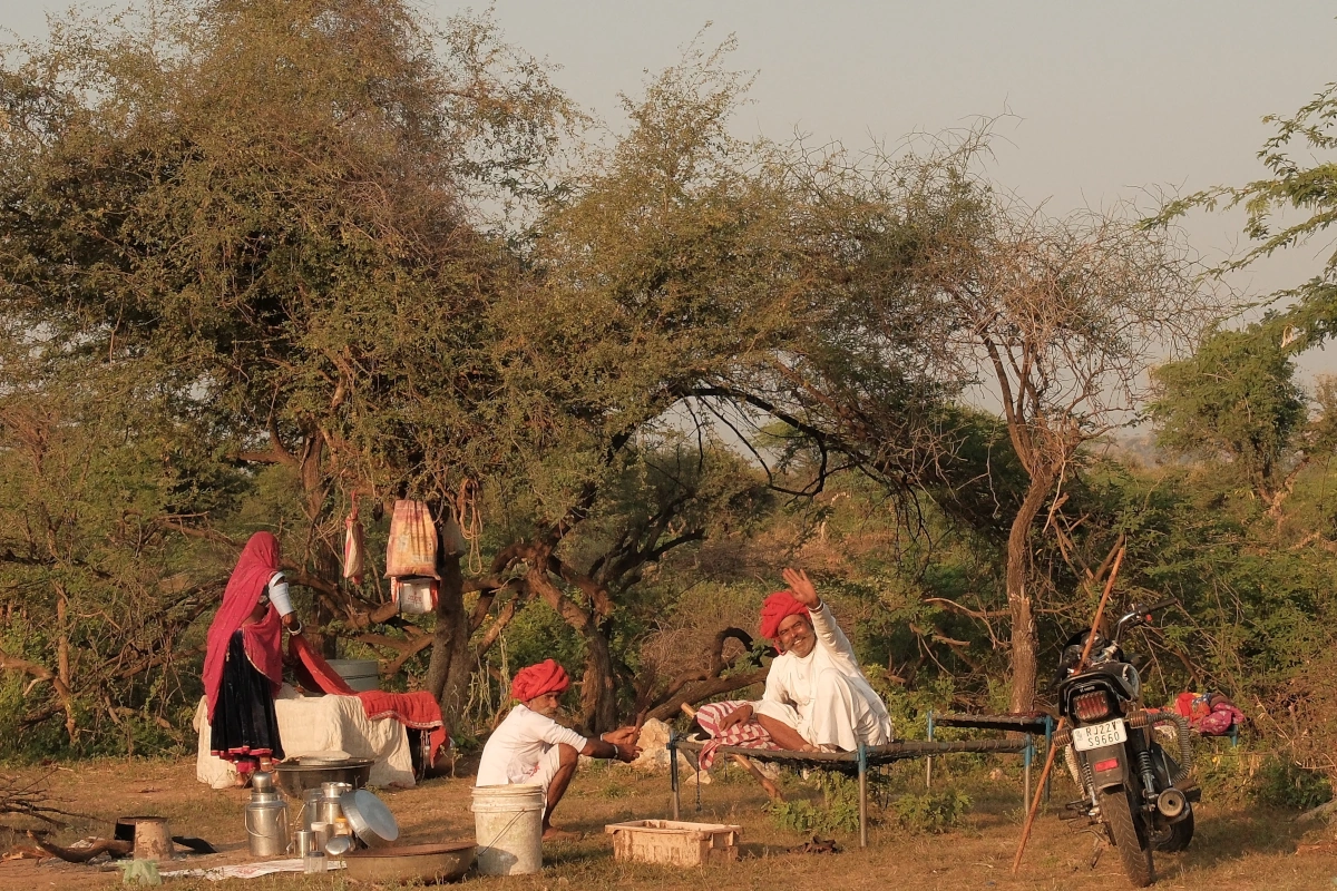 Rajasthan paardrijvakantie Holi