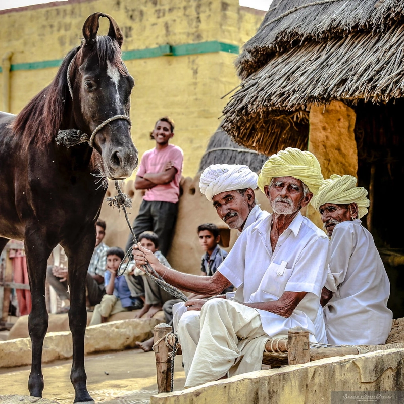 Rajasthan paardrijvakantie Holi