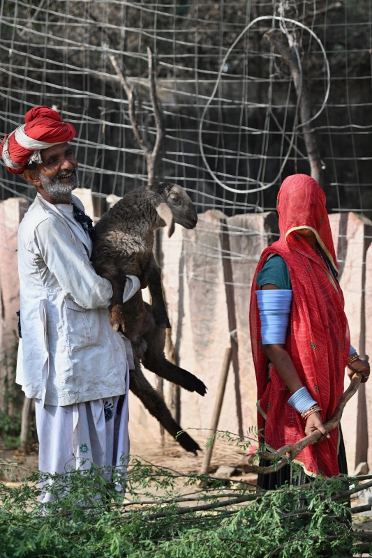 Rajasthan paardrijvakantie Holi