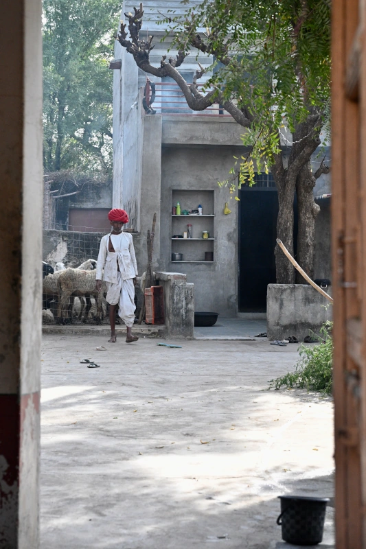 Rajasthan paardrijvakantie Holi